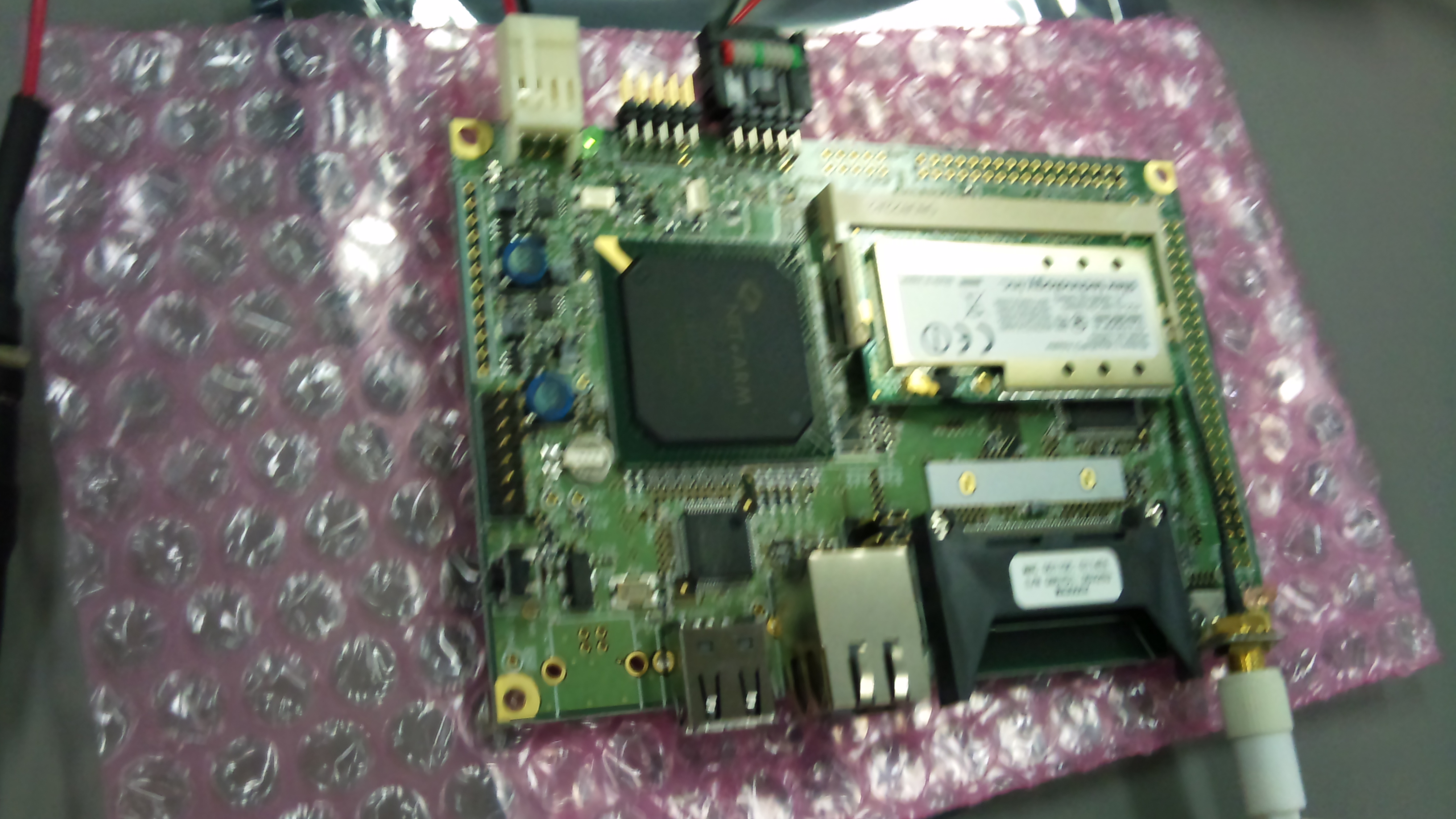 armadillo300