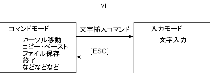 vi