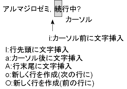 input command